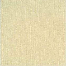 Horisont CANVAS EXTRA, B=1000cm 250g/m² Bomull B1ecru- 60m