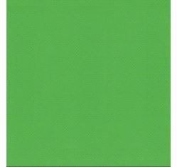 Dansematte Vario UNI, B=200cm 1300g/m² PVC green 25m
